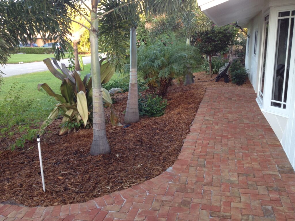 Clay pavers in front yard installed by Exotic Pavers